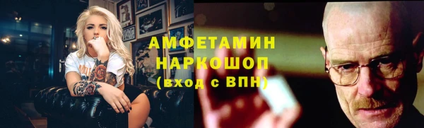 гидра Абаза