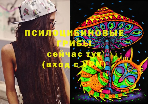 a pvp Алексеевка