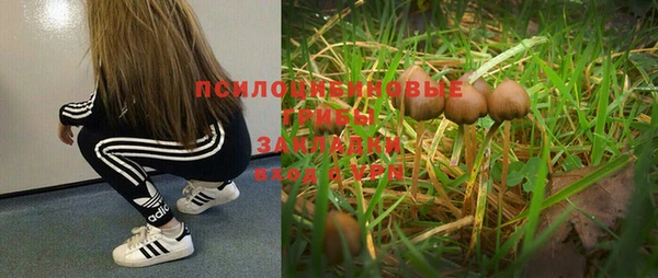 наркотики Алексин
